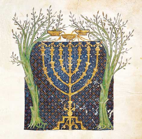 two olive trees