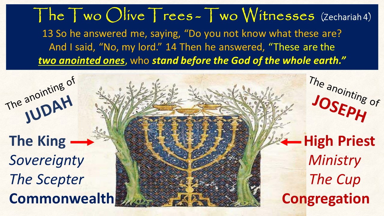 Two olive trees, two witnesses