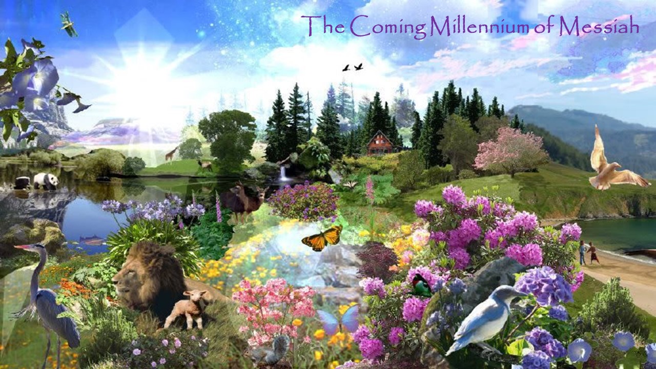 The magnificent future realm of peace in the Millennium of Messiah